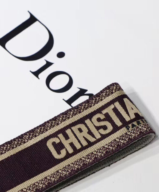 Christian Dior Wide shoulder strap Mauve